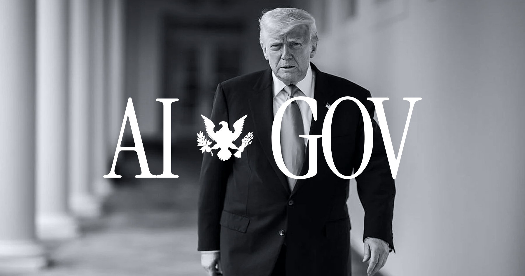 Source: https://www.ai.gov/