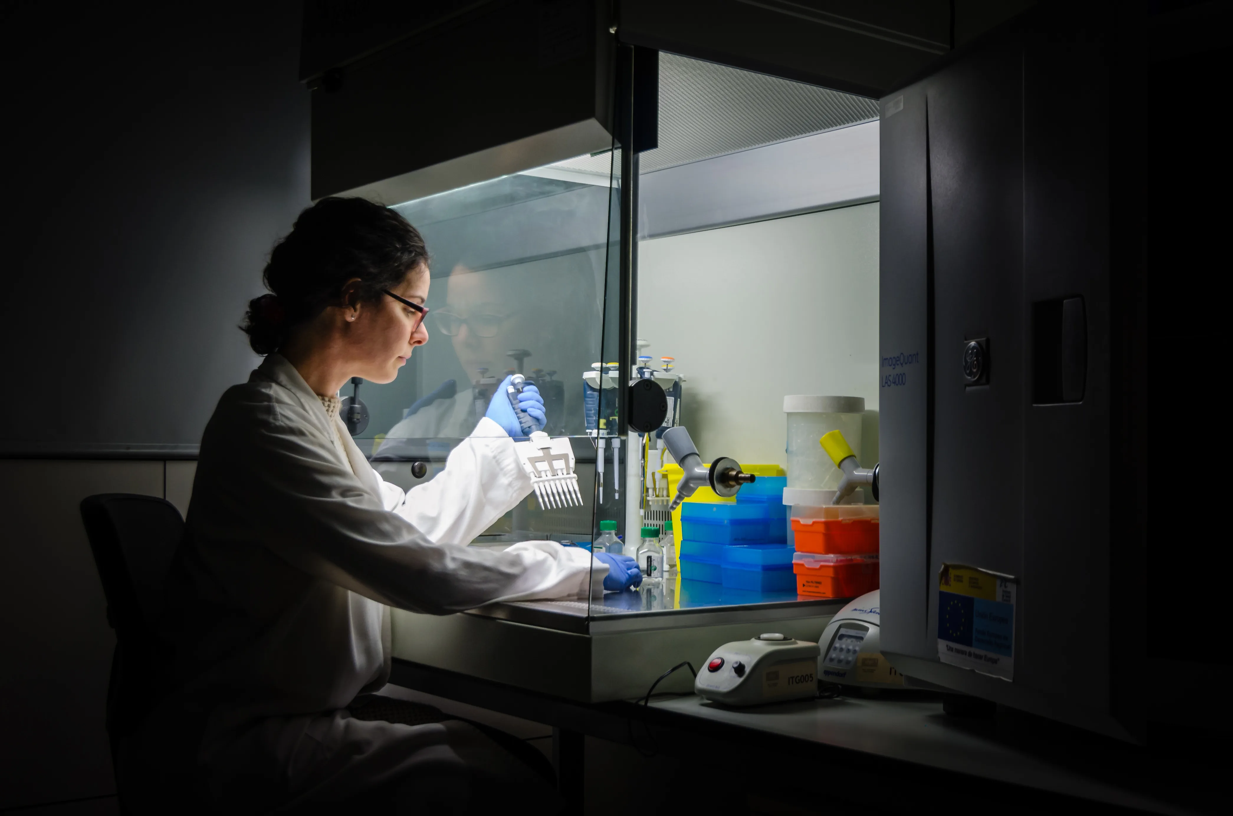 A researcher wearing glasses, a white laboratory coat and blue gloves uses a multichannel pipette at an illuminated laboratory workstation