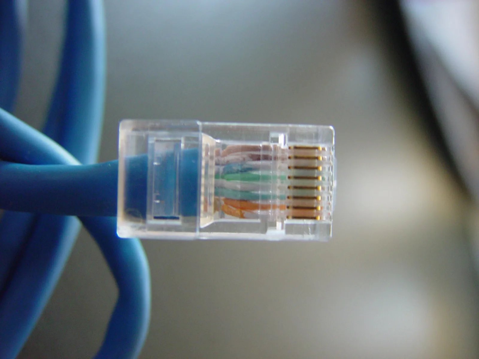 Transparent connector on a blue network cable with colored wires visible inside