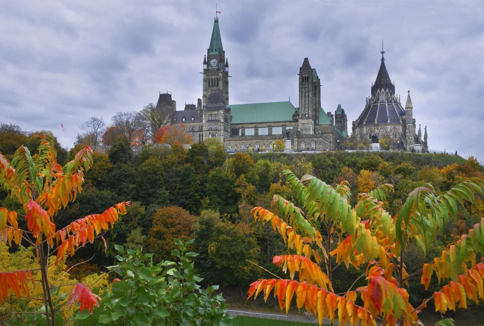 Parliament Hill buildings above autumn trees in Ottawa