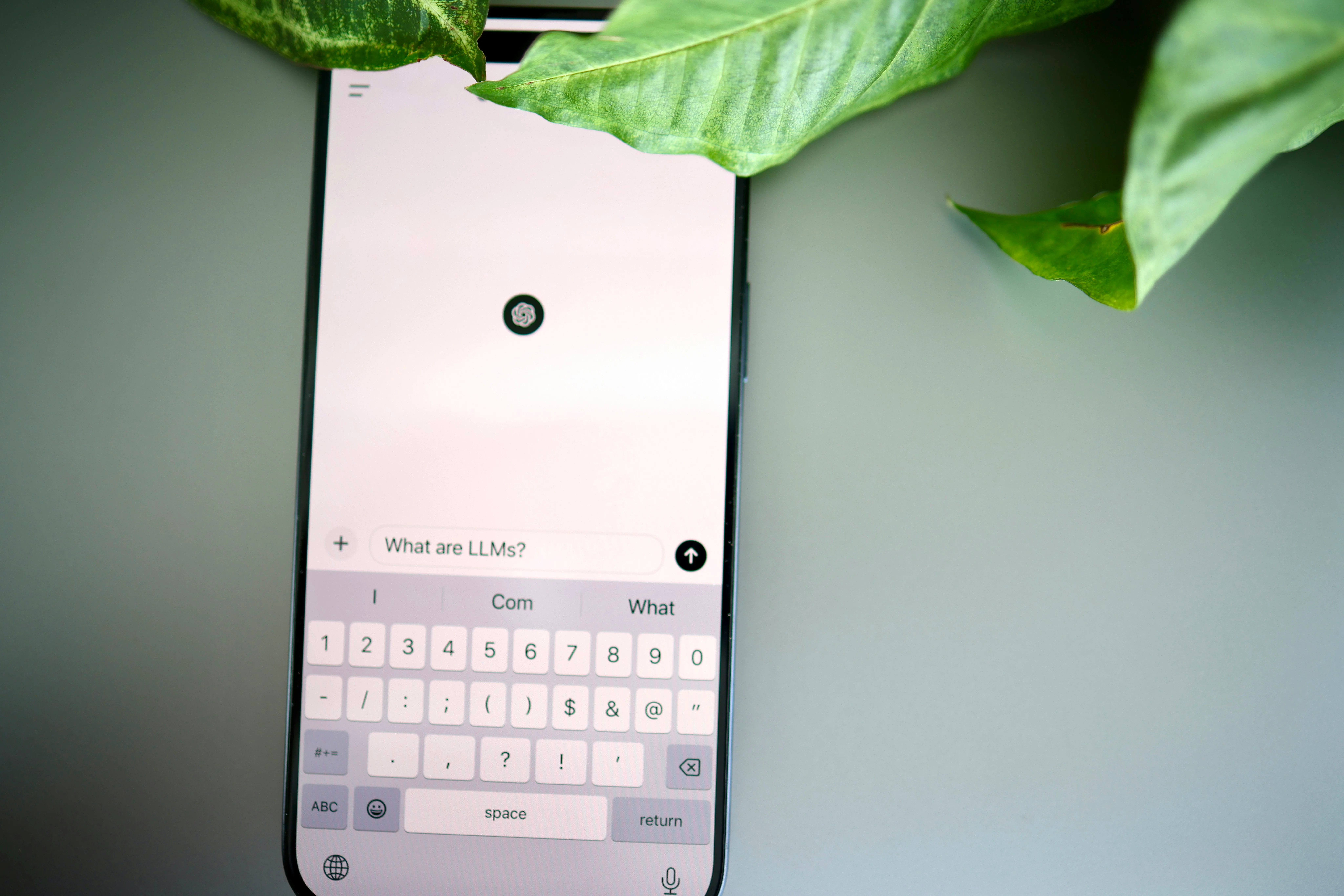 ChatGPT on a smartphone beside green plant leaves, with an on screen keyboard and the prompt What are LLMs?