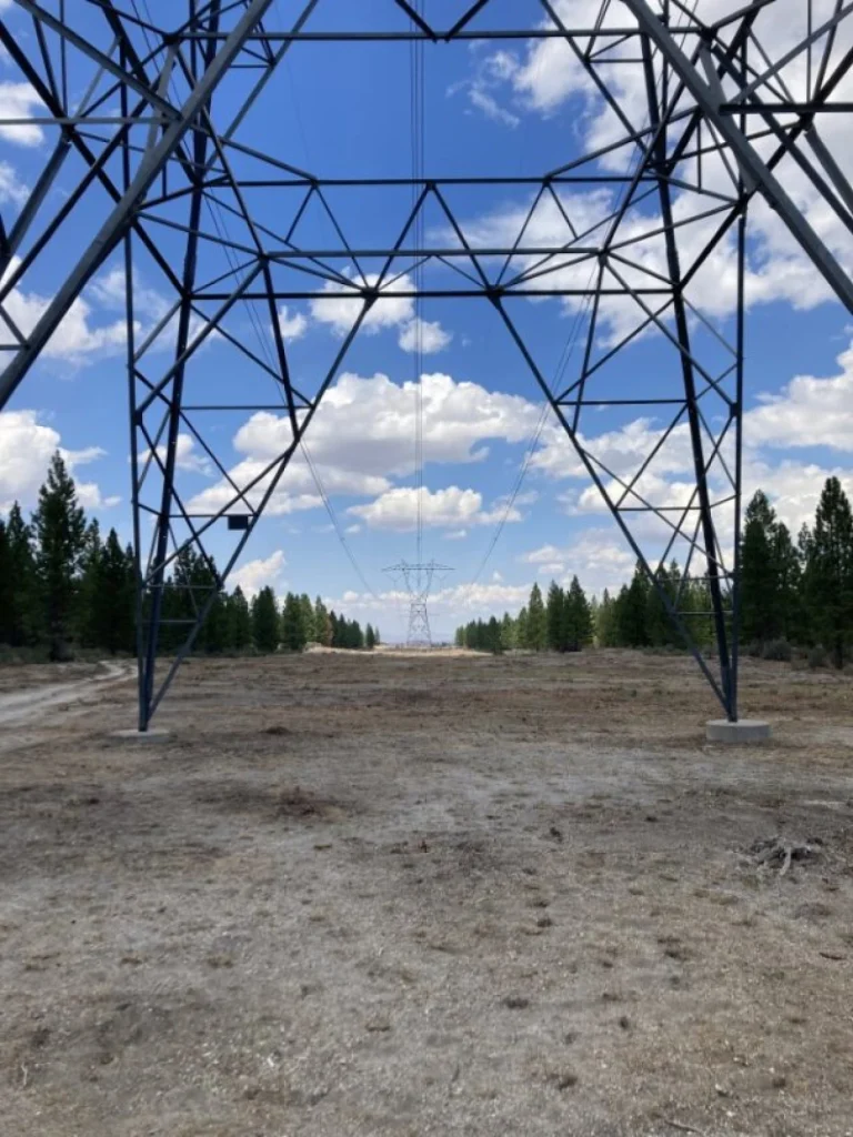 Steel electricity pylons and overhead wires cross a cleared corridor between trees beneath a blue sky