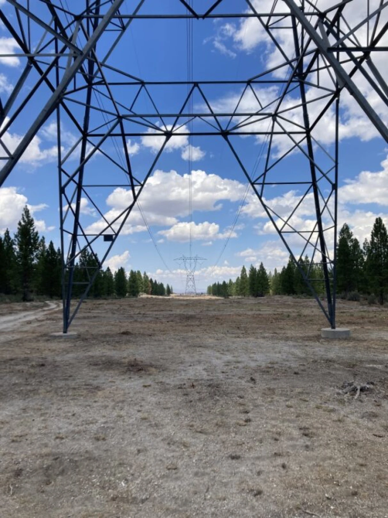 Steel electricity pylons and overhead wires cross a cleared corridor between trees beneath a blue sky