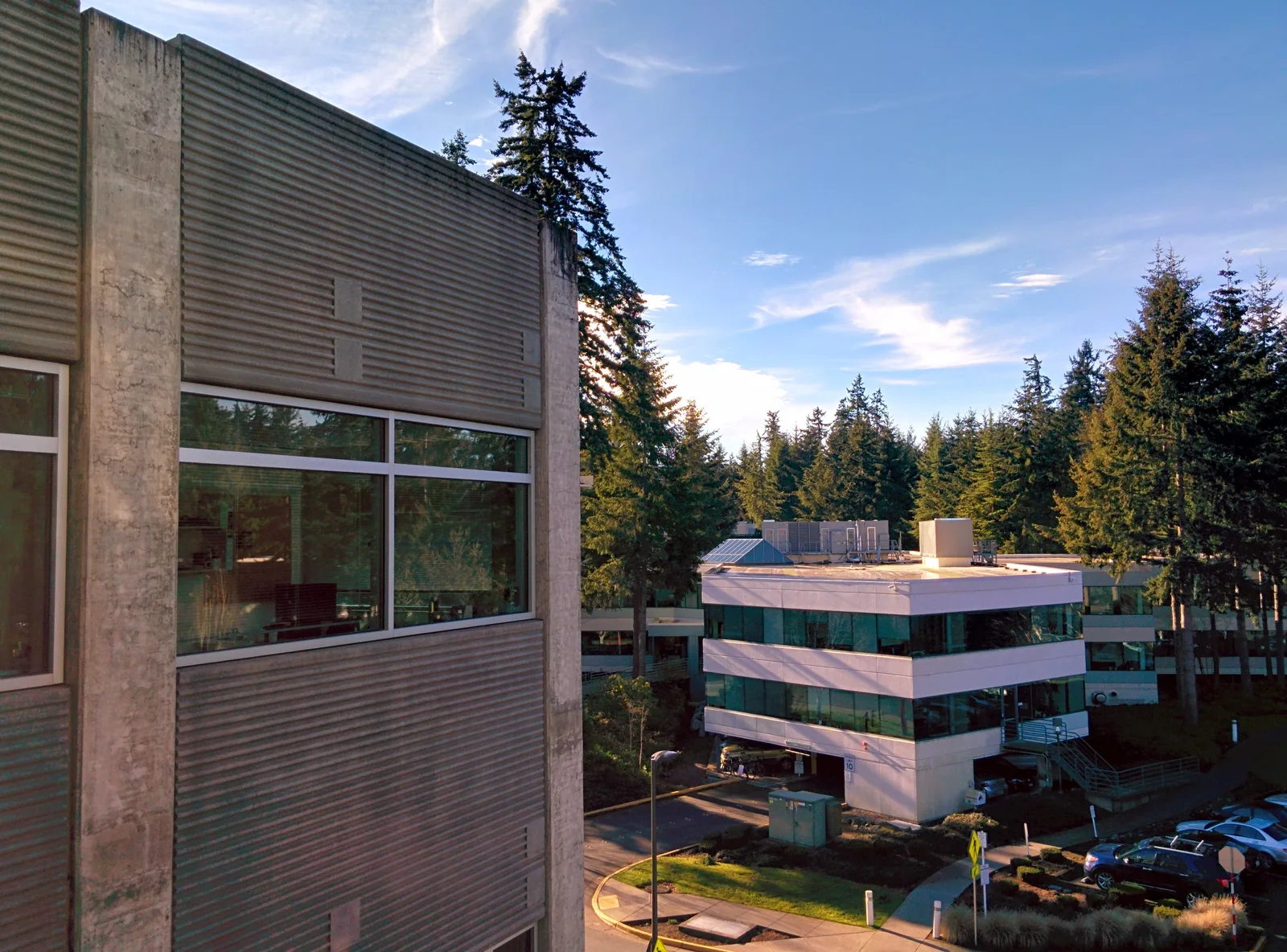 Microsoft campus buildings and trees viewed from building 36 in Redmond