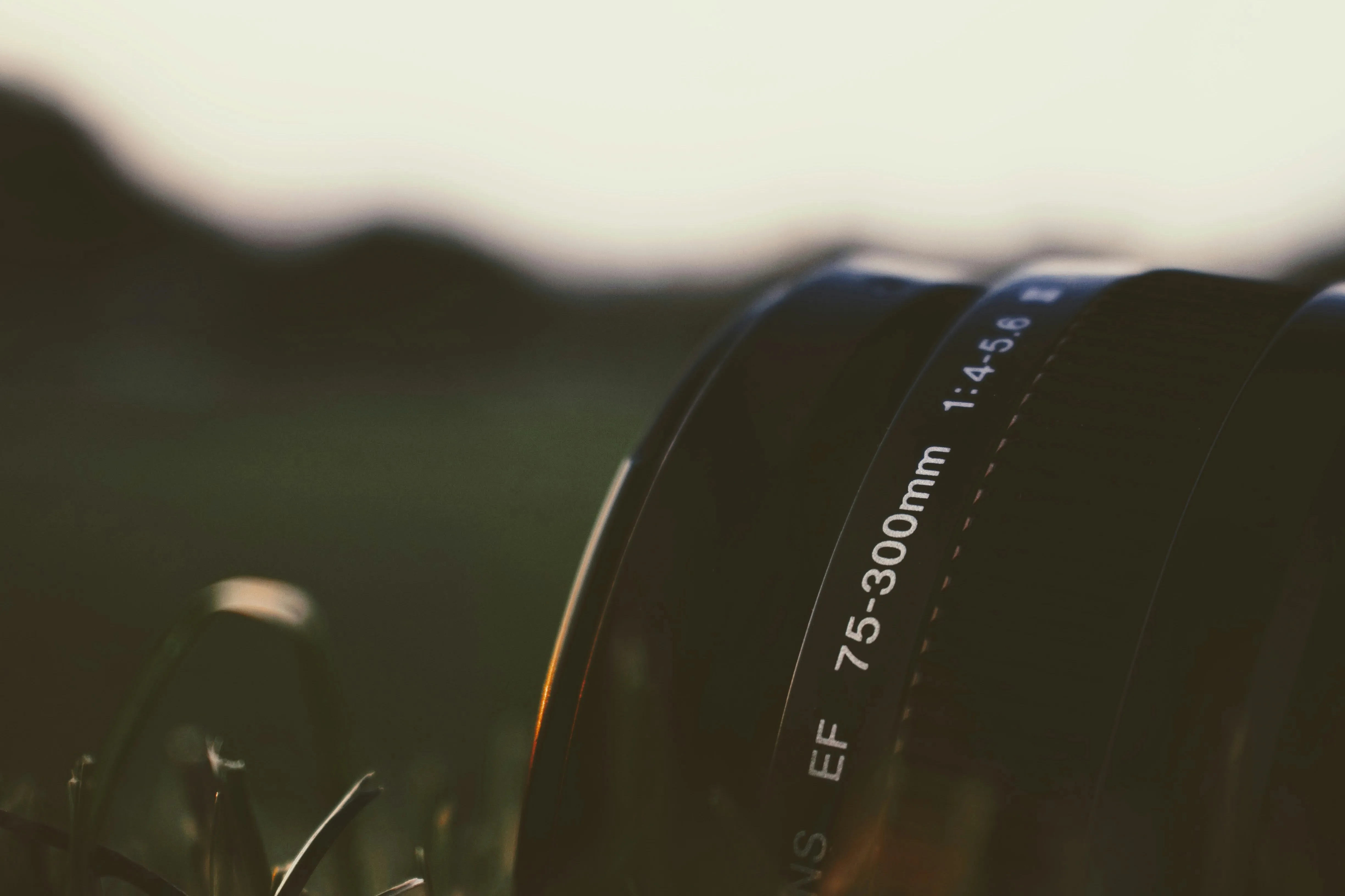 Close view of a black camera lens against a softly blurred outdoor background