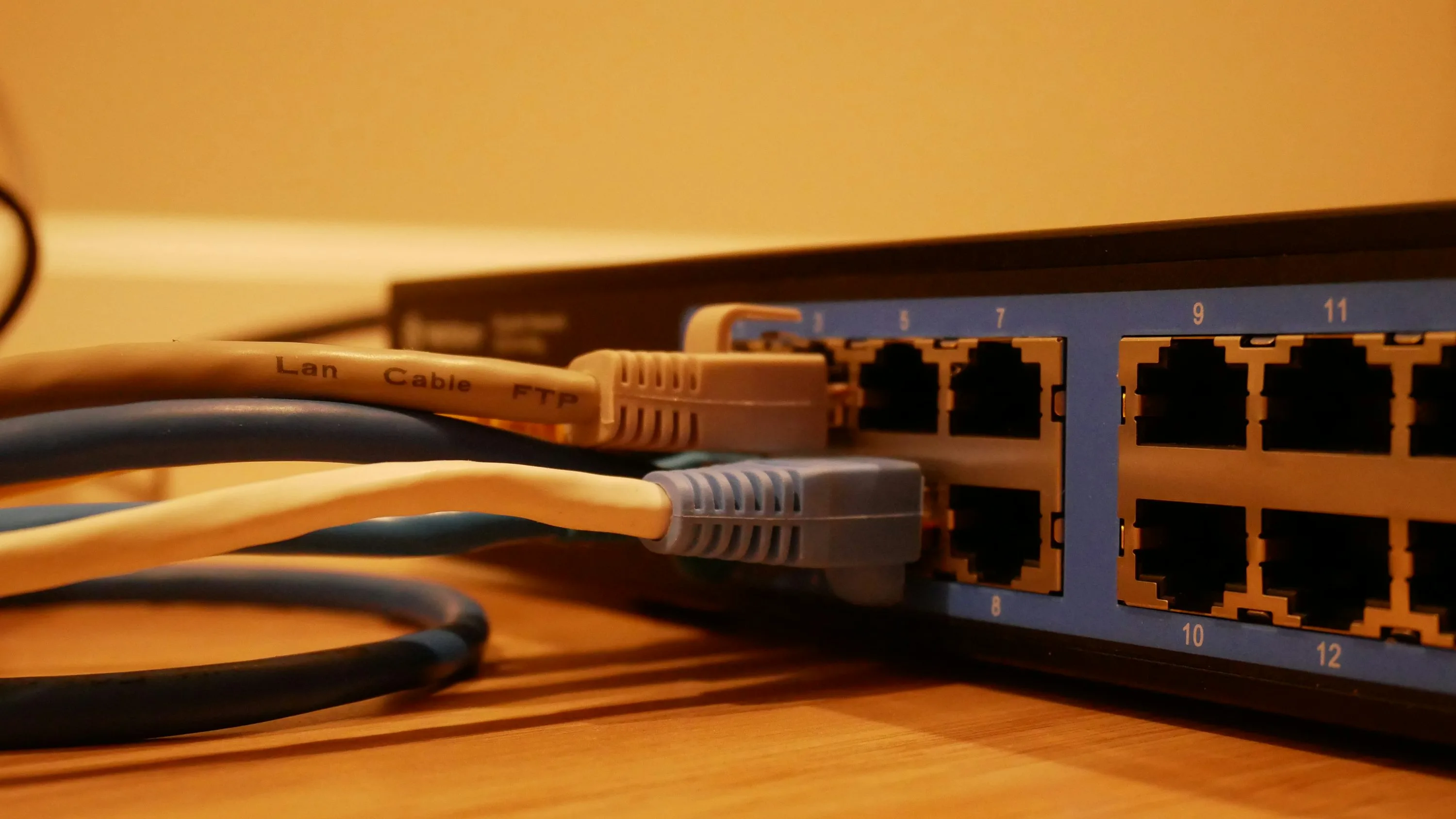 White and gray Ethernet cables connected to a network switch