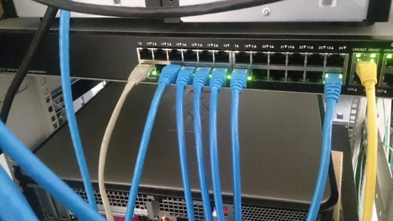 Blue grey and yellow Ethernet cables connected to a network switch