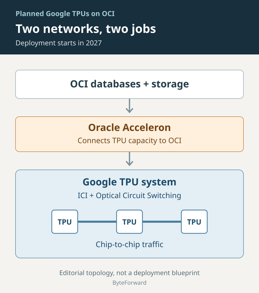 OCI data connects through Oracle Acceleron to a planned Google TPU system, with ICI and Optical Circuit Switching linking chips internally.