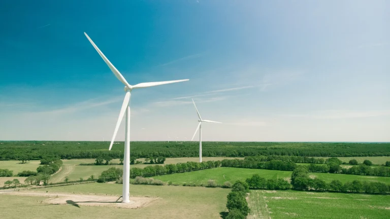 White wind turbines rise above green fields beneath a clear blue sky