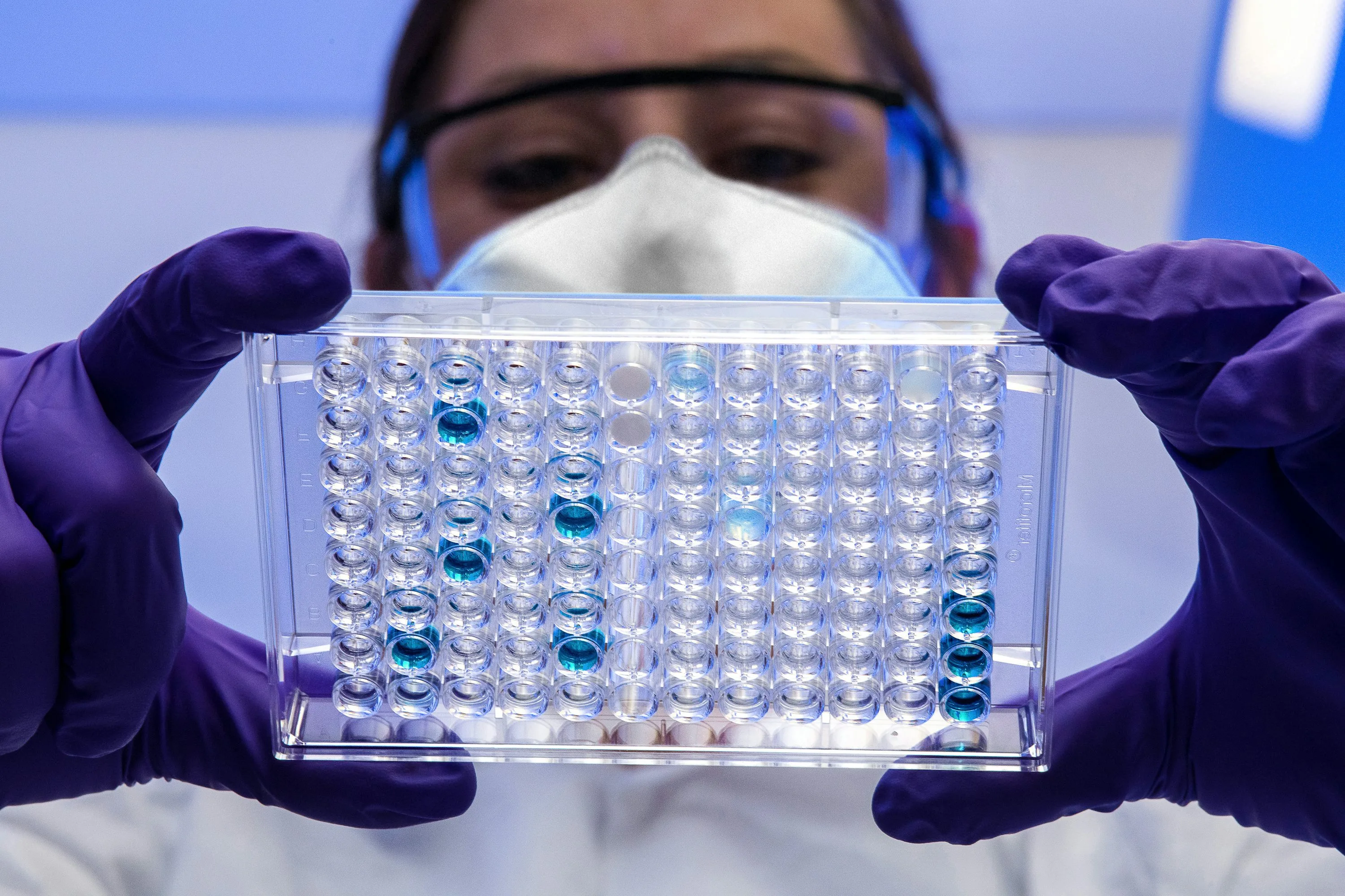 A scientist wearing safety glasses, a white mask and purple gloves holds a clear sample plate containing blue liquid